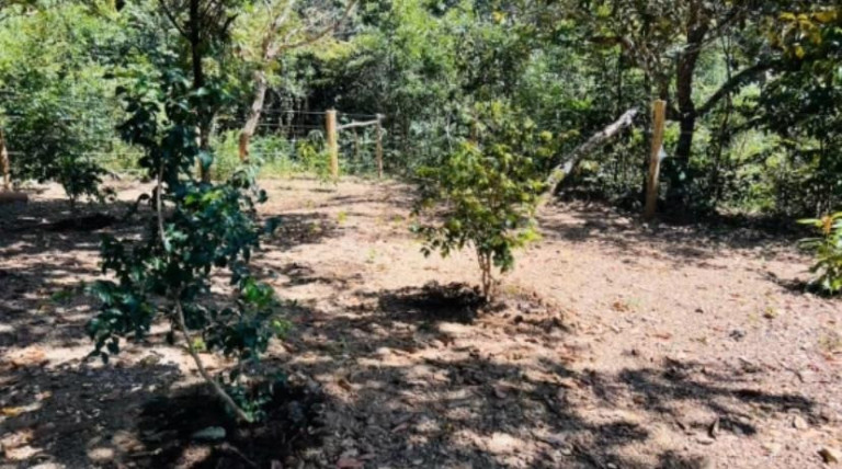 Imagem Imóvel com 2 Quartos à Venda, 1.000 m² em área Rural De Luziânia - Luziânia Imagem Imóvel com 2 Quartos à Venda, 1.000 m² em área Rural De Luziânia - Luziânia
