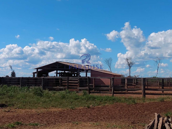 Imagem Fazenda à Venda, 17.799.000 m² em Zona Rural - Baianópolis Imagem Fazenda à Venda, 17.799.000 m² em Zona Rural - Baianópolis