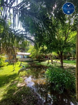 Imagem Chácara à Venda, 16 m² em Zona Rural - Araguaiana Imagem Chácara à Venda, 16 m² em Zona Rural - Araguaiana