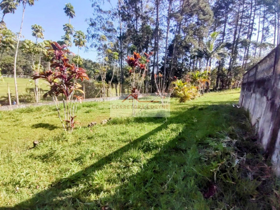 Imagem Imóvel com 5 Quartos à Venda, 5.875 m² em Palmeiras - Juquitiba Imagem Imóvel com 5 Quartos à Venda, 5.875 m² em Palmeiras - Juquitiba