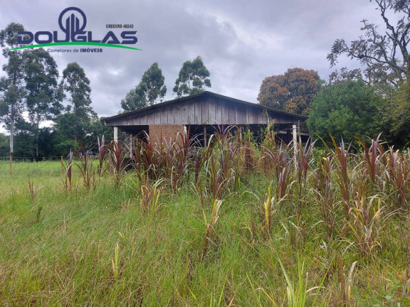 Imagem Chácara à Venda, 12 m² em Viamão