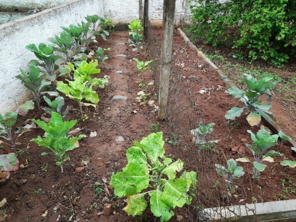 Imagem Chácara com 2 Quartos à Venda, 200 m² em Jardim Estância Brasil - Atibaia Imagem Chácara com 2 Quartos à Venda, 200 m² em Jardim Estância Brasil - Atibaia