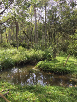 Imagem Chácara à Venda, 51.000 m² em Rio Do Meio - Camboriu Imagem Chácara à Venda, 51.000 m² em Rio Do Meio - Camboriu