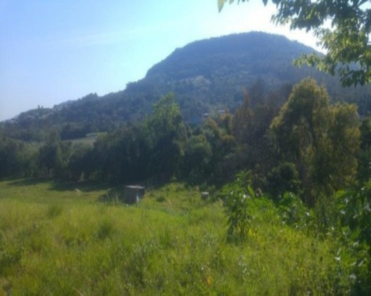 Imagem Terreno à Venda, 40 m² em Lichthenthal - Picada Café