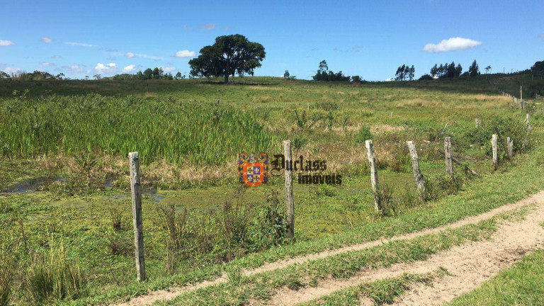 Imagem Fazenda à Venda, 1.258.400 m² em Estrada De São Vicente - Araruama Imagem Fazenda à Venda, 1.258.400 m² em Estrada De São Vicente - Araruama