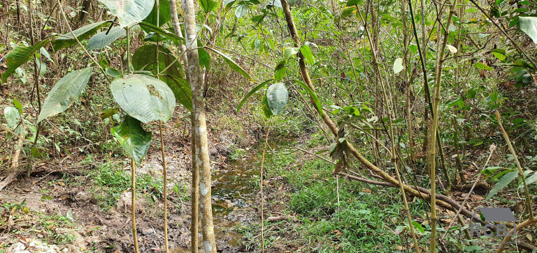 Imagem Terreno à Venda, 3 m² em Caio Martins - Esmeraldas