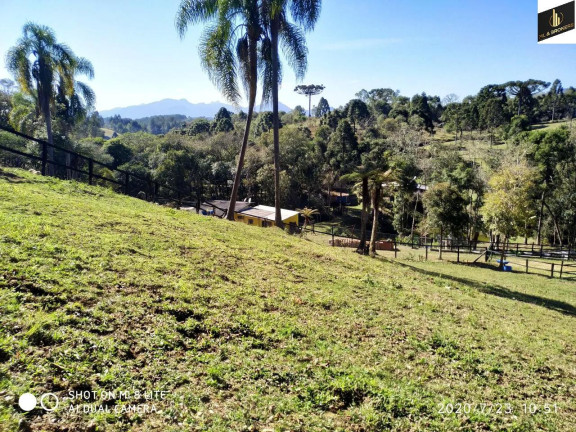 Imagem Imóvel com 3 Quartos à Venda, 16.200 m² em Zona Rural - Quatro Barras