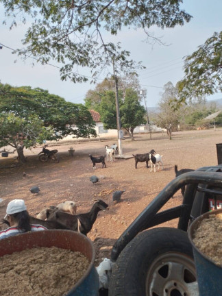 Imagem Chácara à Venda, 255 m² em Cuiabá Imagem Chácara à Venda, 255 m² em Cuiabá