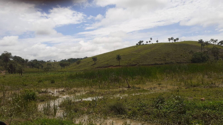 Imagem Fazenda à Venda, 1.950 m² em Centro - Córrego Danta Imagem Fazenda à Venda, 1.950 m² em Centro - Córrego Danta