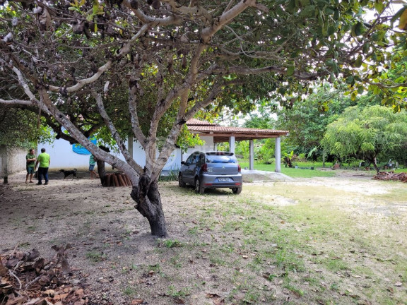 Imagem Fazenda à Venda, 2.000 m² em Lagoa Do Bonfim - Nísia Floresta