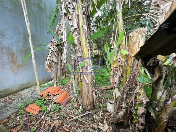 Imagem Terreno à Venda, 125 m² em Estufa Ii - Ubatuba Imagem Terreno à Venda, 125 m² em Estufa Ii - Ubatuba