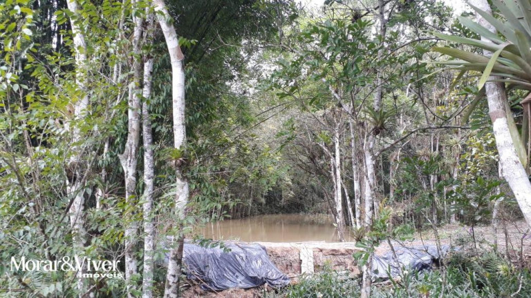 Imagem Chácara com 3 Quartos à Venda, 84.750 m² em Alexandra - Paranaguá