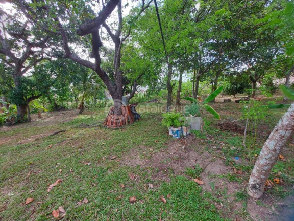 Imagem Fazenda à Venda, 2.000 m² em Zona Rural - São José De Mipibu Imagem Fazenda à Venda, 2.000 m² em Zona Rural - São José De Mipibu