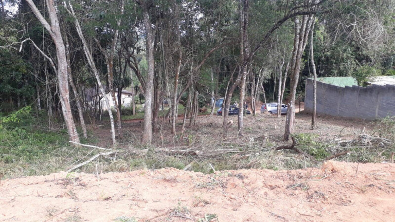 Imagem Terreno à Venda, 1.000 m² em Ortizes - Piedade Imagem Terreno à Venda, 1.000 m² em Ortizes - Piedade