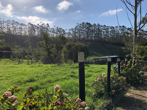 Imagem Fazenda à Venda, 300 m² em Pouso Alto - Paraibuna Imagem Fazenda à Venda, 300 m² em Pouso Alto - Paraibuna