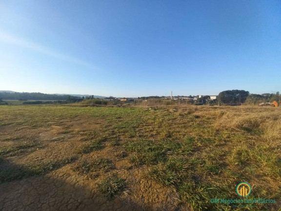 Imagem Terreno à Venda, 56.500 m² em Chácara Remanso (caucaia Do Alto) - Cotia Imagem Terreno à Venda, 56.500 m² em Chácara Remanso (caucaia Do Alto) - Cotia