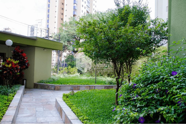 Imagem Apartamento com 2 Quartos à Venda, 50 m² em Vila Mascote - São Paulo Imagem Apartamento com 2 Quartos à Venda, 50 m² em Vila Mascote - São Paulo