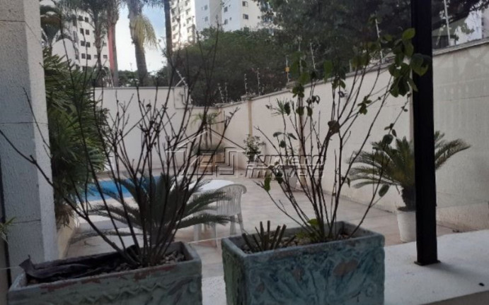 Imagem Apartamento com 3 Quartos para Alugar, 84 m² em Jardim Aquarius - São José Dos Campos Imagem Apartamento com 3 Quartos para Alugar, 84 m² em Jardim Aquarius - São José Dos Campos