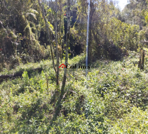 Imagem Terreno à Venda, 1.900 m² em Antes Do Centro - Ibiúna Imagem Terreno à Venda, 1.900 m² em Antes Do Centro - Ibiúna