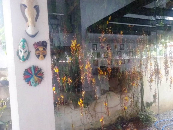 Imagem Casa com 3 Quartos à Venda, 184 m² em Bombas - Bombinhas