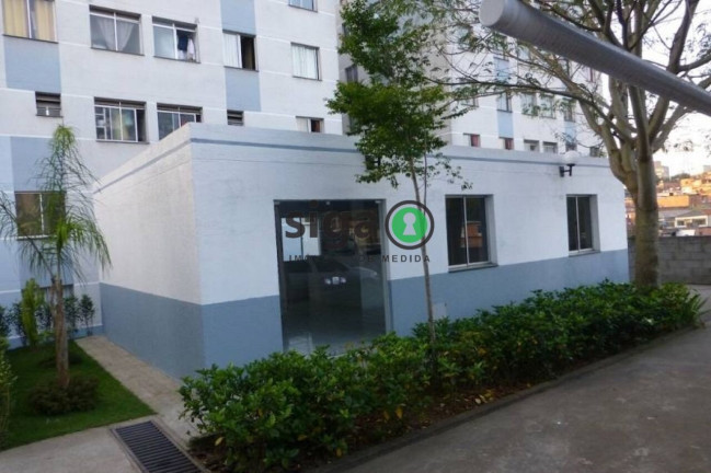 Imagem Apartamento com 3 Quartos à Venda, 66 m² em Super Quadra Morumbi - São Paulo