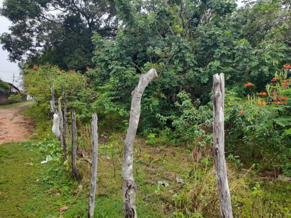 Imagem Terreno à Venda, 4.550 m² em Cabeceiras - Tibau Do Sul Imagem Terreno à Venda, 4.550 m² em Cabeceiras - Tibau Do Sul