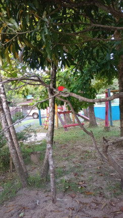 Imagem Chácara à Venda,  em Ilha Comprida
