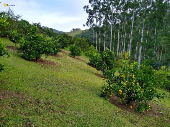 Imagem Fazenda à Venda, 10.000 m² em Vila Junckes - São Pedro De Alcântara Imagem Fazenda à Venda, 10.000 m² em Vila Junckes - São Pedro De Alcântara
