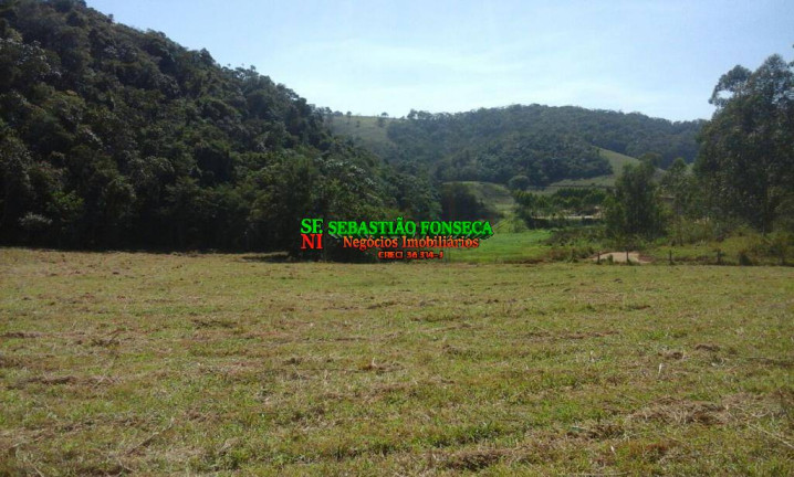 Imagem Chácara à Venda, 6.000 m² em Bairro Dos Pinheiros - Natividade Da Serra Imagem Chácara à Venda, 6.000 m² em Bairro Dos Pinheiros - Natividade Da Serra