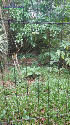 Imagem Casa com 2 Quartos à Venda, em águas Claras - Viamão Imagem Casa com 2 Quartos à Venda, em águas Claras - Viamão