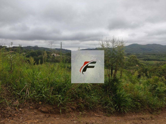 Imagem Chácara com 1 Quarto à Venda, 25.244 m² em Bacaetava - Colombo