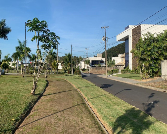 Imagem Terreno à Venda, 484 m² em Pirabeiraba (pirabeiraba) - Joinville Imagem Terreno à Venda, 484 m² em Pirabeiraba (pirabeiraba) - Joinville