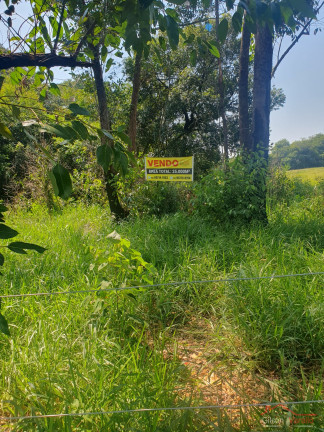 Terreno à Venda, 25.000 m² em Piracangaguá - Taubaté