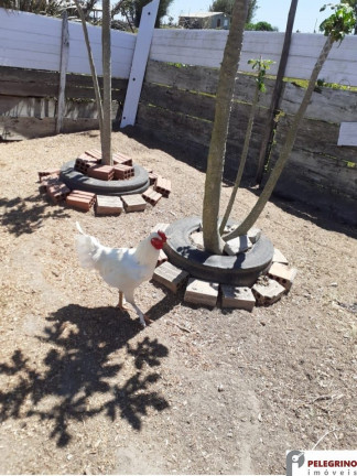 Imóvel com 2 Quartos à Venda, 70 m² em Zona Rural - Tapes