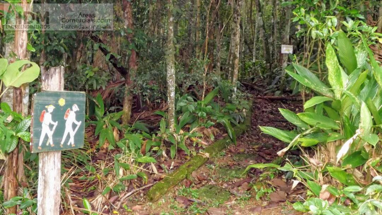 Imagem Chácara à Venda, 1.380.000 m² em Bororé - São Paulo Imagem Chácara à Venda, 1.380.000 m² em Bororé - São Paulo