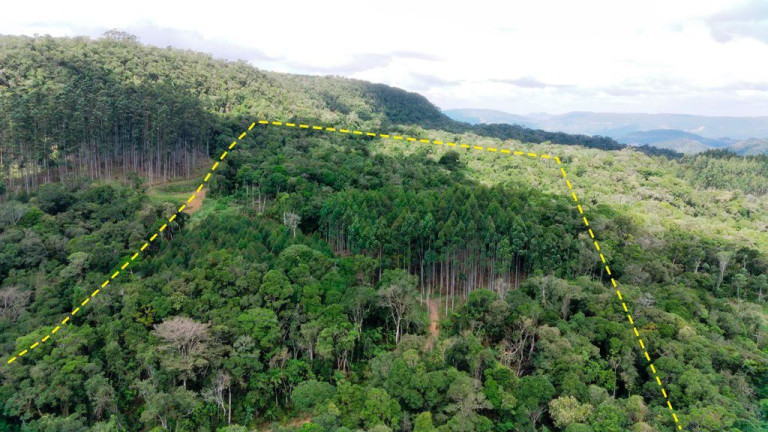 Imagem Imóvel com 5 Quartos à Venda, 140.000 m² em Zona Rural - Presidente Nereu