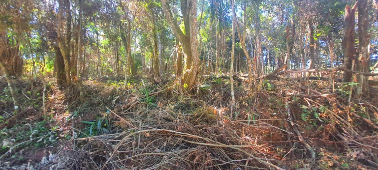 Imagem Imóvel à Venda, 700 m² em Recanto Dos Palmares - Atibaia Imagem Imóvel à Venda, 700 m² em Recanto Dos Palmares - Atibaia