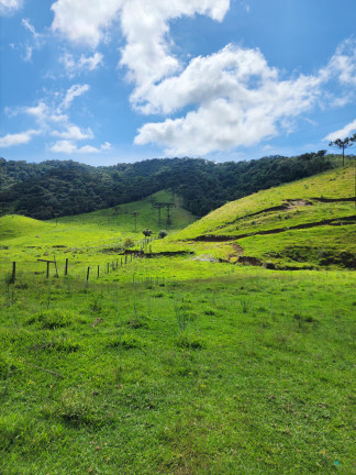 Imagem Imóvel à Venda, 184.000 m² em Zona Rural - Bom Retiro Imagem Imóvel à Venda, 184.000 m² em Zona Rural - Bom Retiro
