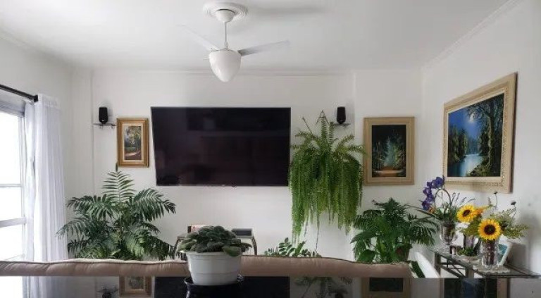 Imagem Apartamento com 1 Quarto à Venda, 50 m² em Tupi - Praia Grande Imagem Apartamento com 1 Quarto à Venda, 50 m² em Tupi - Praia Grande