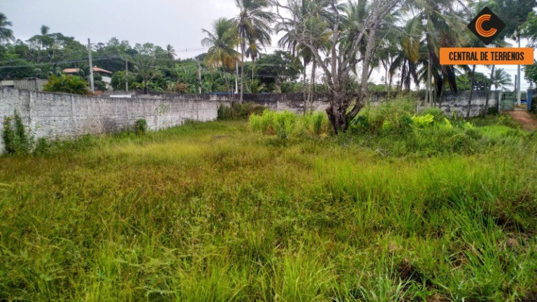 Imagem Terreno à Venda, 2.500 m² em Cascalheira (abrantes) - Camaçari Imagem Terreno à Venda, 2.500 m² em Cascalheira (abrantes) - Camaçari
