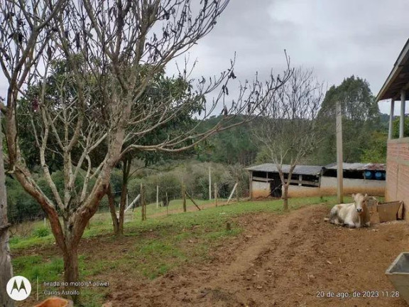 Imagem Imóvel com 4 Quartos à Venda, 22.000 m² em Areia Branca Dos Assis - Mandirituba