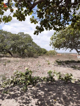 Imagem Fazenda à Venda, 50.000 m² em Centro - João Câmara Imagem Fazenda à Venda, 50.000 m² em Centro - João Câmara