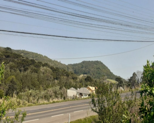Imagem Imóvel com 4 Quartos à Venda,  em Linha Imperial - Nova Petrópolis