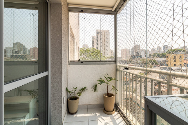 Imagem Apartamento com 3 Quartos à Venda, 65 m² em Vila Mascote - São Paulo