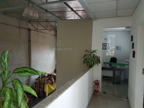 Imagem Imóvel Comercial à Venda, 600 m² em Chácara Cneo - Campinas Imagem Imóvel Comercial à Venda, 600 m² em Chácara Cneo - Campinas