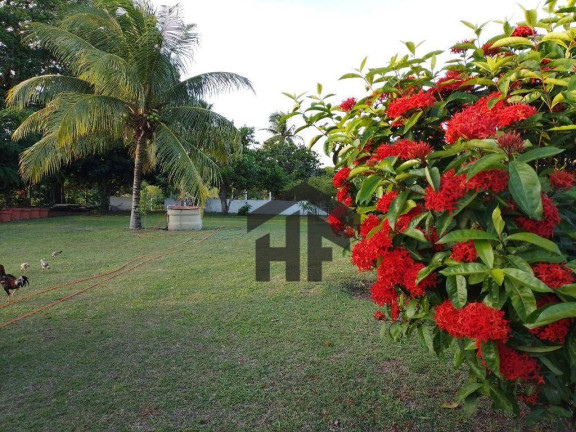 Imagem Terreno à Venda, 800 m² em Zona Rural - Tracunhaém Imagem Terreno à Venda, 800 m² em Zona Rural - Tracunhaém