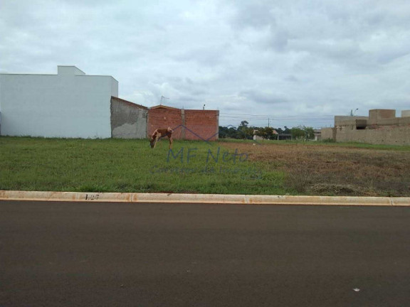 Imagem Terreno à Venda, 250 m² em Jardim São João - Pirassununga Imagem Terreno à Venda, 250 m² em Jardim São João - Pirassununga