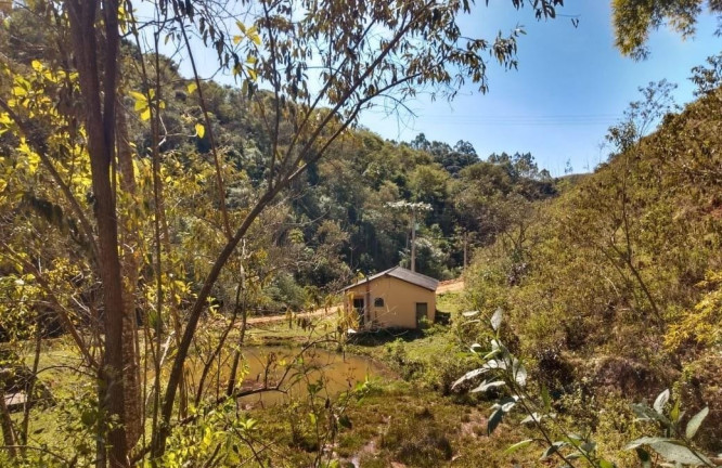 Imagem Imóvel com 5 Quartos à Venda, 500 m² em Domingos Martins - Domingos Martins Imagem Imóvel com 5 Quartos à Venda, 500 m² em Domingos Martins - Domingos Martins
