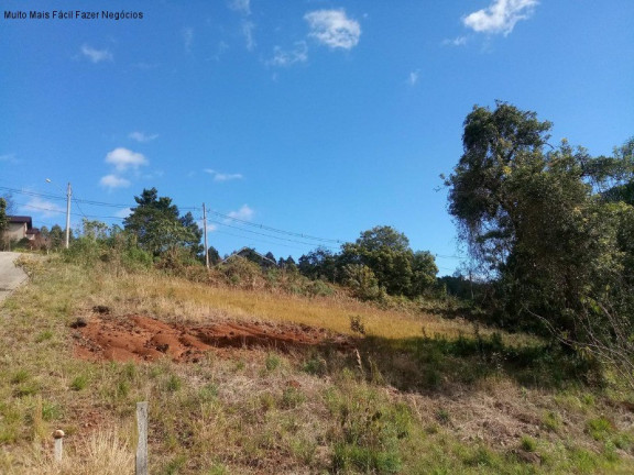 Imagem Terreno à Venda, 568 m² em Piá - Nova Petrópolis Imagem Terreno à Venda, 568 m² em Piá - Nova Petrópolis