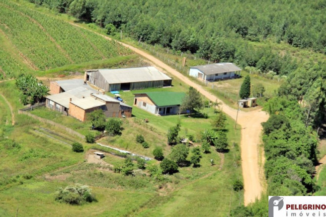 Imóvel com 3 Quartos à Venda, 80.000 m² em Zona Rural - Sentinela Do Sul